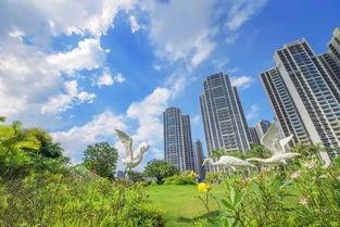 惠州最新爆料,揭秘城市变革背后的故事