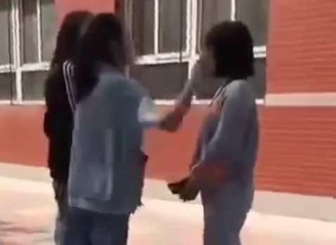 女中学生打架视频,女中学生激烈打架事件引发关注