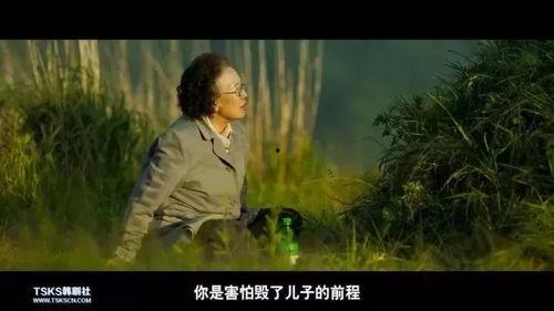 奶奶和母亲av,AV中的温馨时光