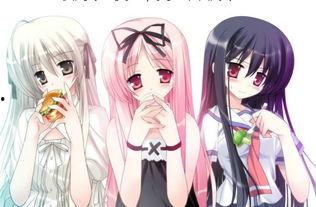 动漫缘之空2在线播放,续写青春的羁绊，在线重温感动时光