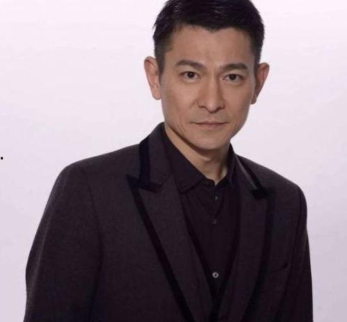 明星在线刘德华,华语影坛的永恒巨星