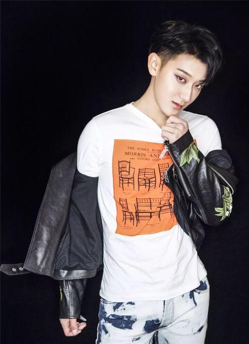 黄子韬家世爆料视频下载,豪门背景曝光，揭秘明星背后的故事