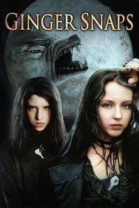 狼女在线播放,在线播放，探寻神秘狼族少女的奇幻冒险之旅