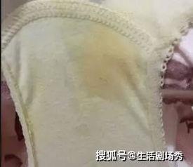 日本女人原味内衣,原味内衣背后的文化解读