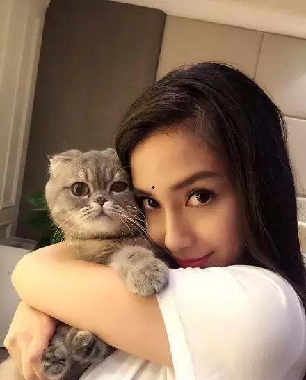明星与猫照片,明星与爱宠猫咪的甜蜜瞬间