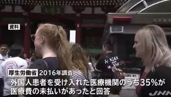 主观视角日本番号,探寻背后的文化内涵与时代变迁