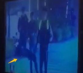 娱乐圈爆料怎样制作视频,如何轻松制作热门视频